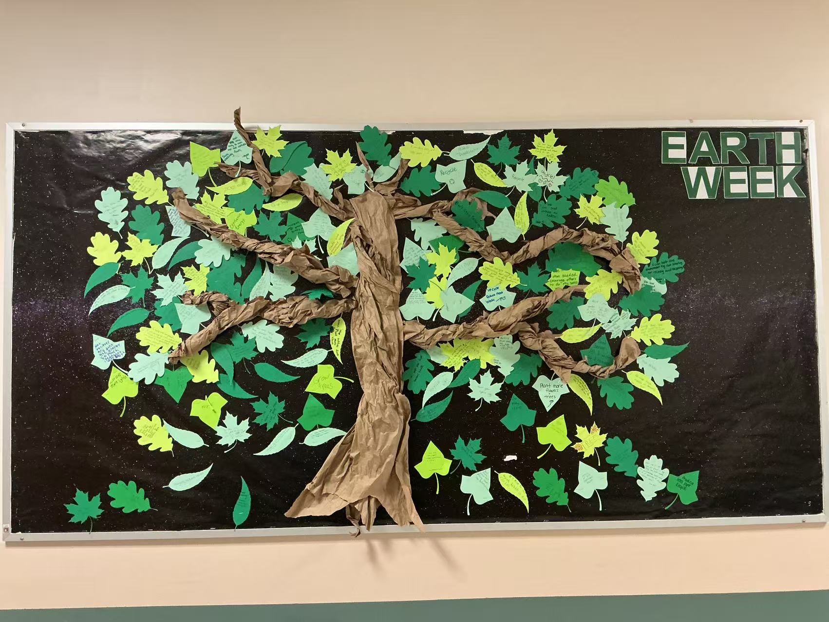 Earth on Us Brings Recycle Right to Blind Brook-Rye Middle School During Earth Week 2026